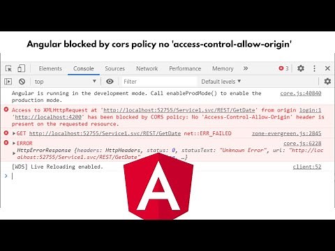 Angular CORS Policy no 'access control allow origin' Header