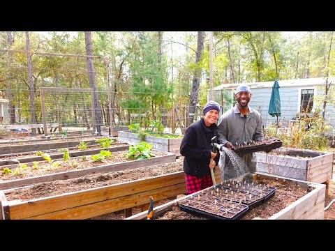 Fixing The Well After It Froze and Seed Starting Vegetable Plants for the Homestead Garden | E.p. 35