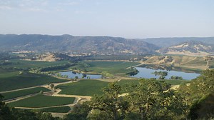 St. Supéry: Dollarhide Estate Vineyard