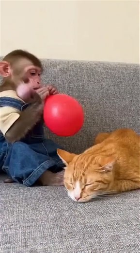 Hartik on Instagram: "💀🗿 日本利用压电瓷砖将脚步转化为电能。这些瓷砖捕捉来自你脚步的动能。当你行走时，你的重量和动作会对瓷砖产生压力。瓷砖会轻微弯曲，从而产生机械应力。瓷砖内部的压电材料将这种应力转化为电能。每一步都会产生少量电荷，而数百万步结合在一起就能产生足够的电力来驱动 LED 灯、数字显示屏和传感器。在像涩谷车站这样繁忙的地方，每天大约有 240 万个脚步为这一系统作出贡献。这些电能可以被储存或立即使用，从而减少对传统电力来源的依赖，并支持可持续的城市基础设施。这种方法将日常运动转化为实用的可再生能源 #日本 #知识 #事实 #你知道吗 #推荐 科技 创新 历史 技术 实验 热门"