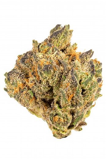 Watermelon Gushers Strain - Hybrid Cannabis Review, 18.44% THC,6.81mg/g Beta Caryophyllene