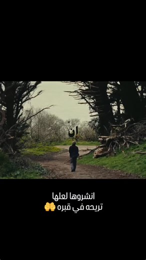 ‎صدقة جارية‎ on Instagram‎: "#قرآن #fyp #newarrivals #quran #الجزائر"‎