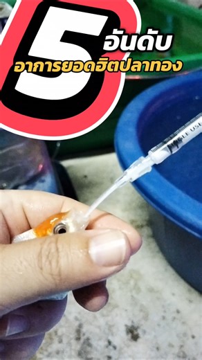 อันดับ1 เสียการทรงตัว ท้องอืดอาหารไม่ย่อยและหงายท้องในที่สุด