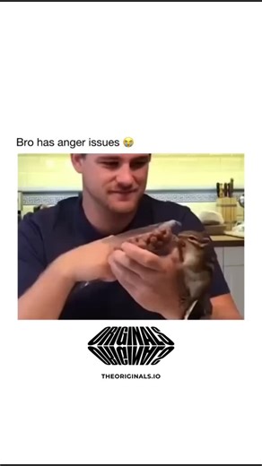 Shubham on Instagram: "This isn't just a chipmunk eating nuts; this is a tiny, highly stressed creature making a dramatic statement about personal boundaries. The text says, "Bro has anger issues," and the evidence is overwhelming. The human is offering a simple, generous snack, but the chipmunk interprets the plastic lid as an unacceptable barrier to its immediate, unconditional nut access. Watch the escalating frustration—the aggressive nibbling, the dramatic hand gestures, and then the final,