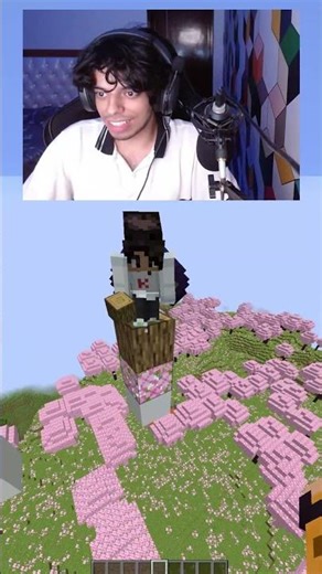 Minecraft Telepathy🤔 #minecraft