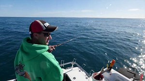 Brand New Fishing Edge this Saturday- Season 5- Episode 13 While a lot of anglers wait for the annual snapper run to begin in Port Phillip Bay, Lee and his good Mate Aaron Habgood head out into the waters of Bass Strait to fish an artificial reef off Off Torquay in search of snapper and gummy sharks. With patience and a solid berely trail the boys get into some great snapper. This episode is sure to inspire angers to get out and try fishing this location in search of some great snapper. Channel 