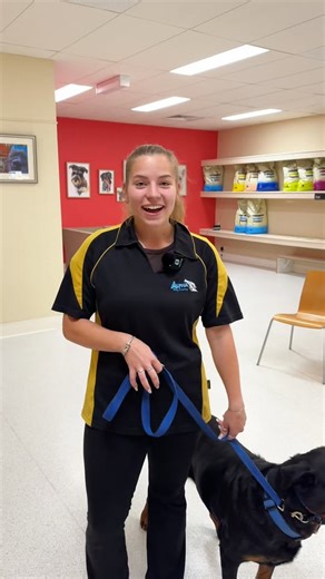 Good news - there's still time to join us for the Part Time Professional dog training course! If your interested, register here https://www.alphadogtraining.com.au/2026-part-time-course | Alpha Dog Training