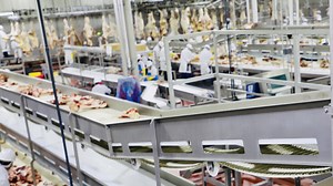 Careers at Central Valley Meat - Central Valley Meat