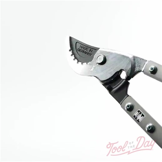 Professional loppers with notches to keep branches in place. Tool Of...