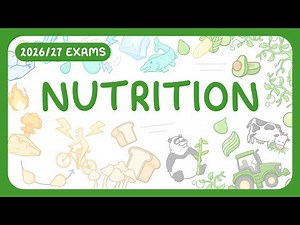 GCSE Biology - Nutrition - Carbohydrates | Lipids | Proteins | Vitamins | Minerals (2026/27 exams)