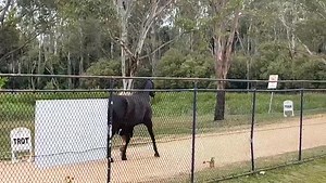 16K views · 33 reactions | Megan Jones on Reels | Facebook