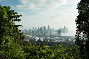 How to put sustainability at the heart of your business | IBM