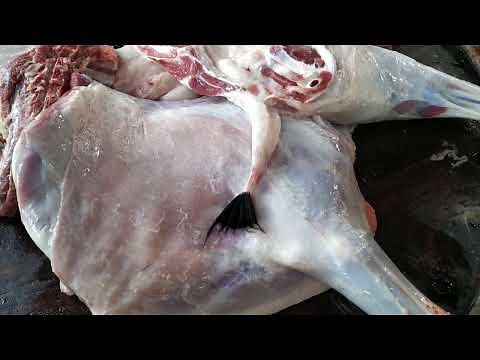 Ultimate Goat Meat Cutting Skill Full Clean Process! || Professional Meat Cutting Technique
