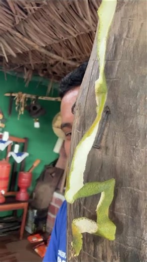 Rapaz a tua vidinha recebeu o peixe e você não recebeu, porque você é da oposição. #bobguerreiro