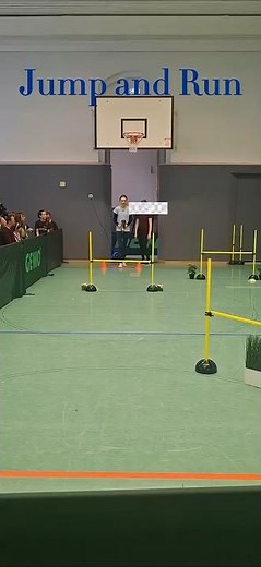 Hobby Horsing Turnier Magni-Cup 5.0 #hobbyhorsing #hobbyhorse #turnier #fyp #sports #shortvideo