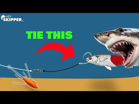 BIG RIG + BIG BAIT = SCARY FISH! | How To Tie SHARK Fishing Rigs + WIN FREE Beach Fishing Drone!