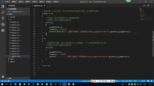 3-06 fork函数详解、范例演示