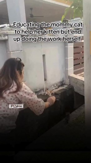 8.4K views · 58 reactions | She said ‘watch and learn, girls’  #flyfm #flyfmnumber1 #cats #catsofinstagram #motherhood | Fly FM | Facebook