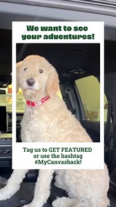 Out on the road with your Canvasback? We want to see it! 💚 Show us the cargo chaos, the trails conquered, the muddy paws, and your happy copilots. Simply tag us to get featured or add #MyCanvasback to your posts! 🎥: @christientrinh, @tx.4runner, @scotthelman71, @lagunatic4x4 via IG #Canvasback #CanvasbackCargoLiner #CargoLiners | Canvasback