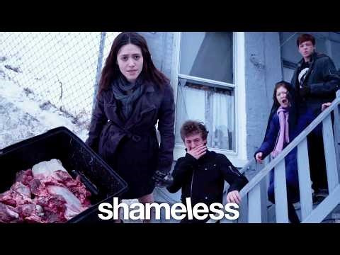 Survival of the Shameless: Part 1 | Shameless Compilation