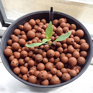 [Hot Item] 8-12mm Hydroponic Growth Media Expanded Clay Balls Clay Pebbles Leca