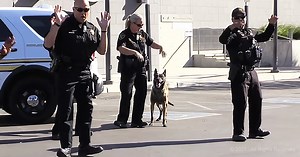 Police dog’s dance-off video is full of fun and laughter