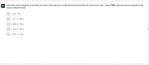 A fish finder shows a large fish 13 feet below the surface of t... | Filo