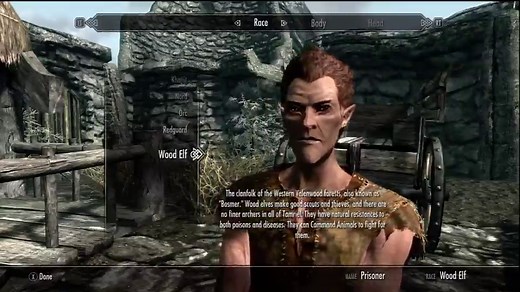 The Elder Scrolls V: Skyrim Video Review