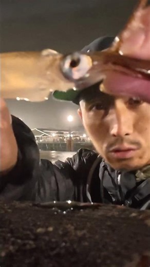 How to CATCH squid from the pier