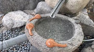 A view of clean water flowing from a mineral spring in the forest, spring water