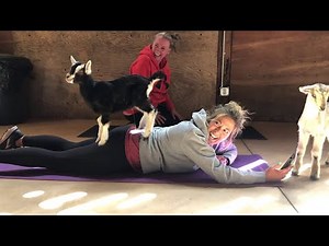 Videos I Found On Reddit #9