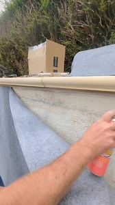 Full swamp pool transformation 😎 #thep00lguy #satisfying #swamp #swimmingpool | Thep00lguy