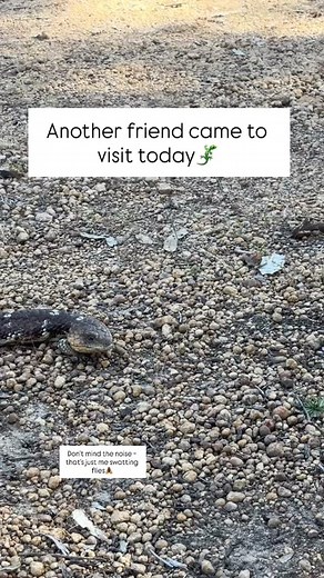 Amanda Adams on Reels