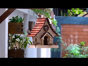CREATE a Simple Wooden Bird Feeder from SOLID WOOD!