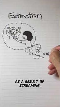 ABA Terminology: What is extinction?