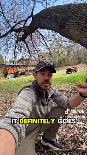 How to (safely) cut down a leaning tree - a DIY step by step guide.