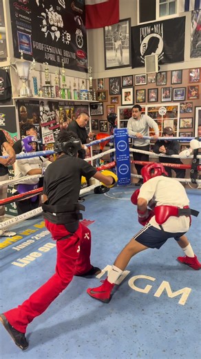 Master Sparring Techniques for Aspiring Boxers