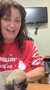 Let’s see how the Puppies are developing at Week 4 ❤️😍❤️ | Stephanie Aird’s LOLS