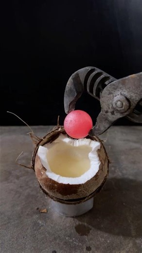 Hot Ball vs Coconut 🥥🔥 Will It Explode or Survive?