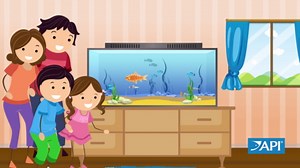 API Goldfish Premium Sinking Pellets Fish Food 7 oz