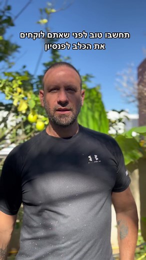 ‏#dogon #dogs_of_instagram #dogs_of_tiktok #dogsof #foryou #אילוף