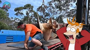 Road Train Adventures on Reels