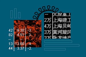 Who Killed the Chinese Economy?