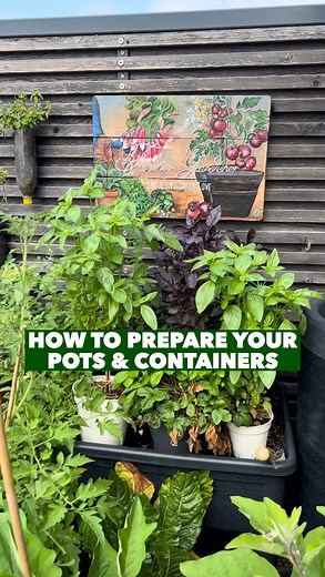 137K views · 38 reactions | How to prepare your pots & containers to...