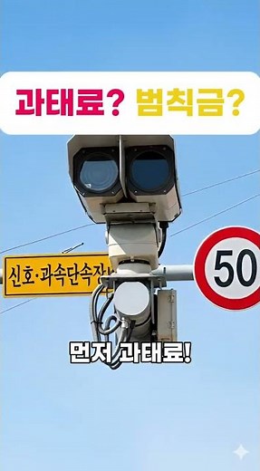 운전자 90%가 모르는 과태료 고지서의 비밀 💸#과태료 #범칙금 #초보운전 #자동차보험 #교통법규