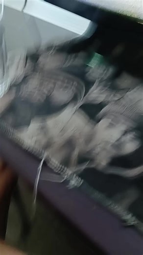 sae (@ballsackinmymouth6)’s videos with original sound - 🌚ZAONE💫