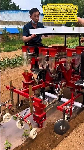 Automatic Vegetable Transplanter Machine | Modern Farming Innovation