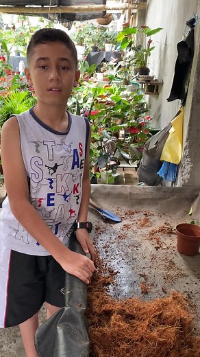 Cómo Sembrar Anturios: Guía Paso a Paso