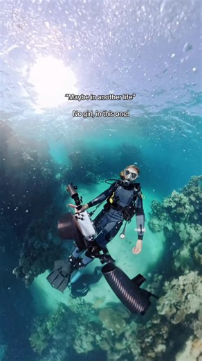 Life is short - go scuba diving! Clips taken in Koh Tao, Egypt and Komodo ✨ #scubadiving #scubagirl #padi #marinelife #ocean