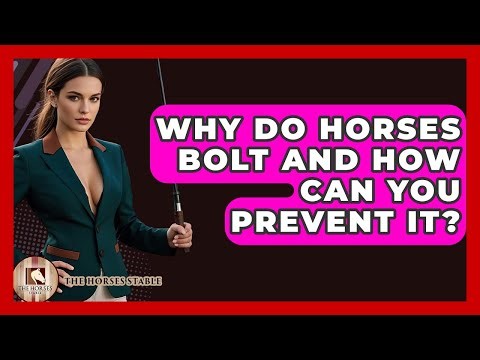 Why Do Horses Bolt And How Can You Prevent It? - The Horses Stable